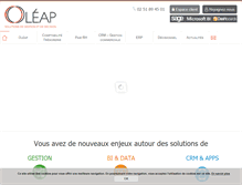 Tablet Screenshot of oleap.com